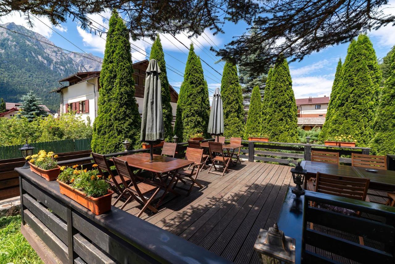 Casa Freya Hotel Buşteni Екстериор снимка